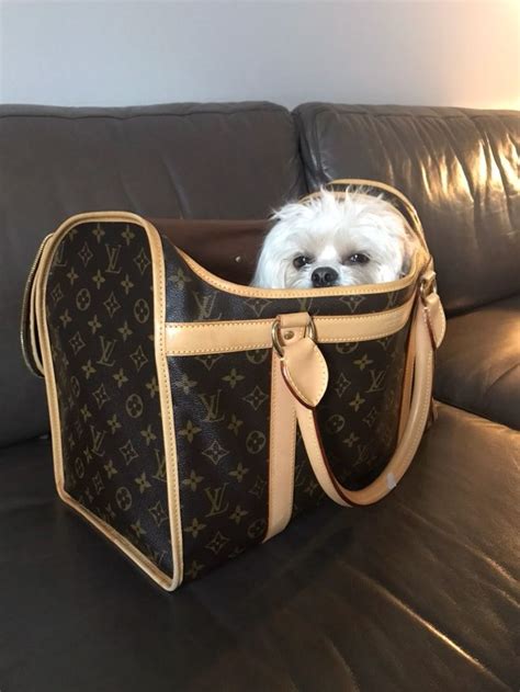 louis vuitton monogram canvas dog carrier 50 replica|louis vuitton counterfeit.